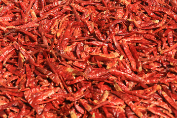 Fototapeta premium dry Chili pepper, thai spices