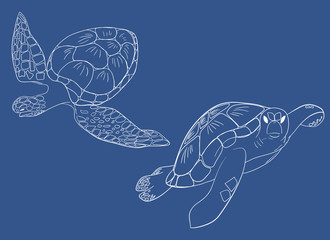 Line ector set of sea turtle isolated blue background