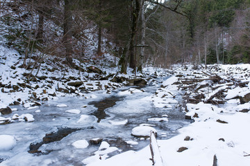 Frozen ,clean  river at winter in the Carpathian mountains, a lot of pine trees and branches lefted after deforestation.