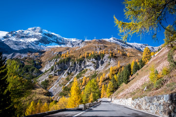 Naklejka premium Dolomites Mountains, autumn landscape in the Passo Stelvio valley in South Tyrol in the Stelvio National Park, Alps, northern Italy, Europe.