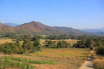 Fototapeta premium thailand northern landscape in chiang mai