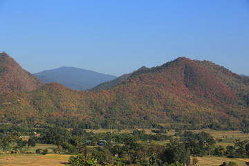 thailand northern landscape in chiang mai
