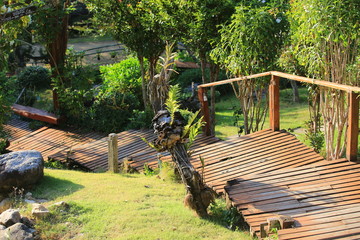 garden bridge in thailand