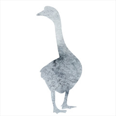 watercolor silhouette of a goose on a white background