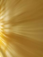 abstract golden background