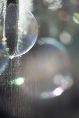 Nature bulle de savon