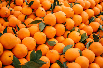 Beautiful selected organic oranges background, ripe oranges for preparing meal, lots of oranges on a market counter.