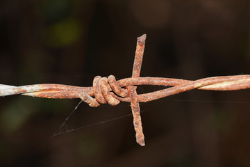 Barbed wire with dark background