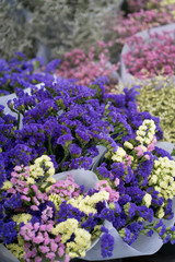 Fototapeta premium Purple flower for sale at the market.