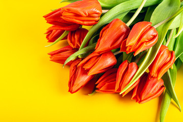 Orange tulips over yellow background, Easter. Birthday, mother day greeting card concept with copy space.