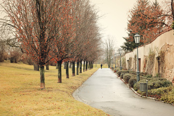 Background of old park in the Europe