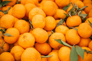 Beautiful selected organic tangerines background, ripe tangerines, lots of tangerines on a market counter.