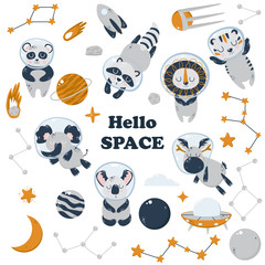 set of isolated animals and space elements - vector illustration, eps