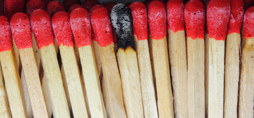 matches on white background