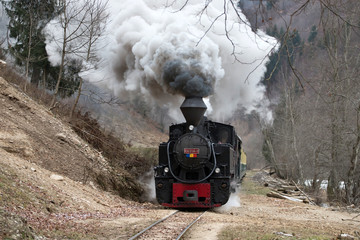 Obraz na płótnie Canvas Steam train puffing along the tracks