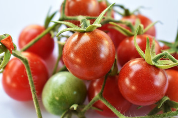 tomatoes on the vine