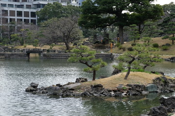 Fototapeta na wymiar 旧芝離宮恩賜庭園の松のある池の風景