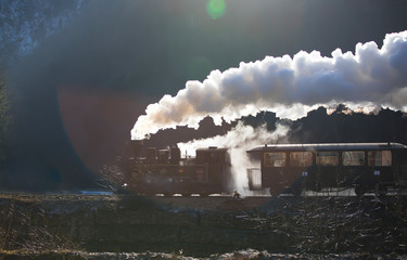 Steam train puffing along the tracks - obrazy, fototapety, plakaty