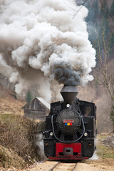 Obraz na płótnie Canvas Steam train puffing along the tracks