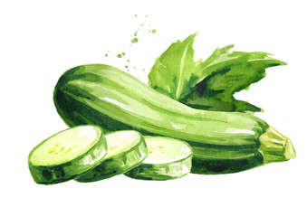 Green whole and cut zucchini vegetable with leaf. Hand drawn watercolor illustration, isolated on white background