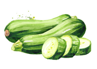 Green whole and cut zucchini vegetable. Hand drawn watercolor illustration, isolated on white background