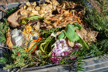 View into a bio container with various organic wastes for recycling.