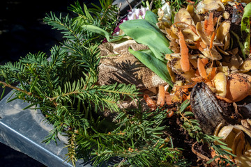 View into a bio container with various organic wastes for recycling.
