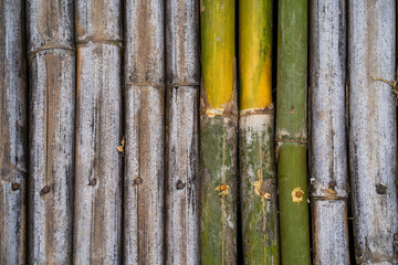 Bamboo sticks wall, use for background.