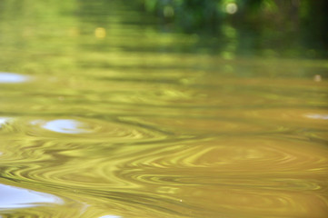 reflection in water