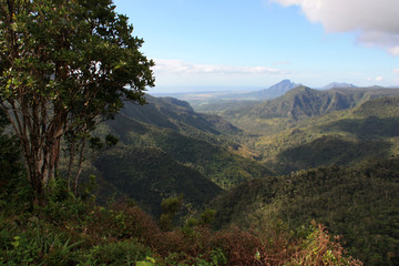 Fototapeta premium Spectacular view from a viewing point, overlooking the Black River Gorges National Park, Mauritius, towards the north
