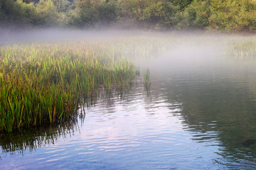 Morning mist on the Slunjcica River source in Croatia