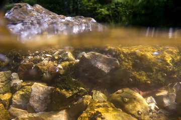 Underwater view of the Slunjcica River source in Croatia