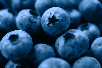 A handful of blueberry toned in blue color of 2020 year.Classic shade.Juicy fresh berries,sparkly water drops on it.