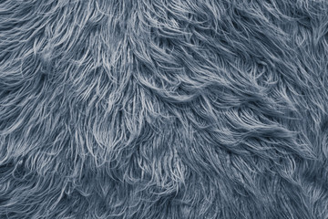 close-up natural grey wool rug background texture.