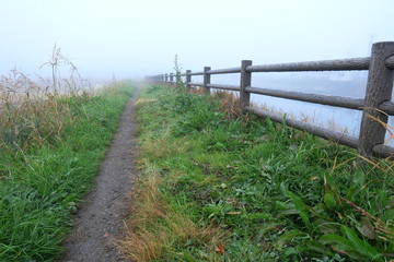 冬の朝霧の坂川放水路土手風景