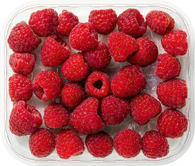 fresh berries in plastic packaging isolated on white