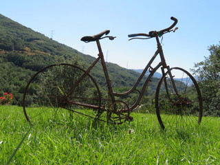 Fototapeta na wymiar Beautiful photo of a rusty old bicycle and abused