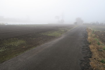 冬の朝霧の中の農道風景