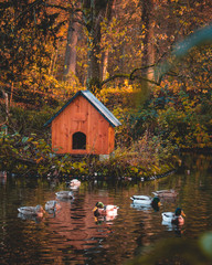 Daheim ist am Sch&ouml;nsten