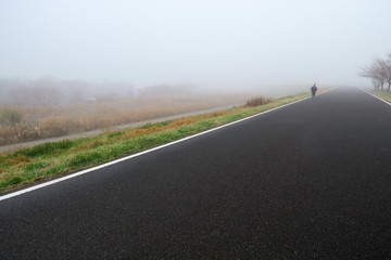 冬の朝霧の江戸川サイクリング道路と河川敷風景