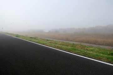 冬の朝霧の江戸川サイクリング道路と河川敷風景