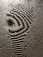 abstract texture with sand texture