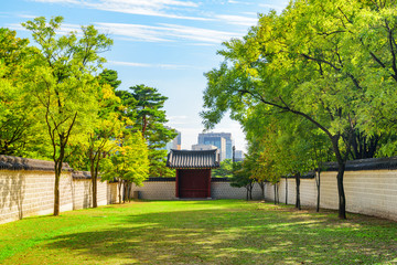 Obraz premium Wonderful view of garden and scenic gate, Gyeongbokgung Palace