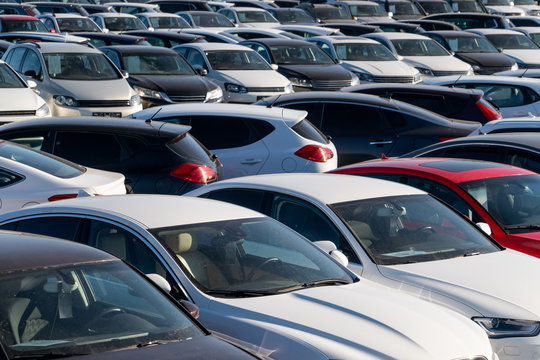 Fototapeta Cars in a row. Used car sales