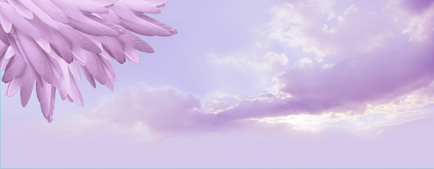 Angel feather message background banner - a pile of random long lilac feathers in left corner...