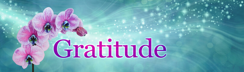 Gratitude Orchid Sparkle Banner - wide jade green flowing sparkle bokeh background with a sprig of Orchid and four flowers beside the word GRATITUDE