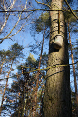 Fototapeta premium concrete birdhouse hanging on a tree in the forest