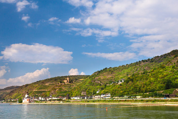 Fototapeta na wymiar Beautiful German landscape with tiered vineyard and village seen from the middle Rhine River.
