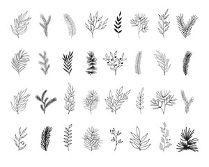 Big set of hand drawn floral, pine, spruce, fir tree branches. Herbs for Christmas decoration. Vector isolated holiday design elements.