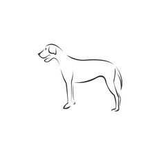 Vector image of an Dog black and white. design style. animal. art. symbol. logo. Illustrator. on white background. Mammals
